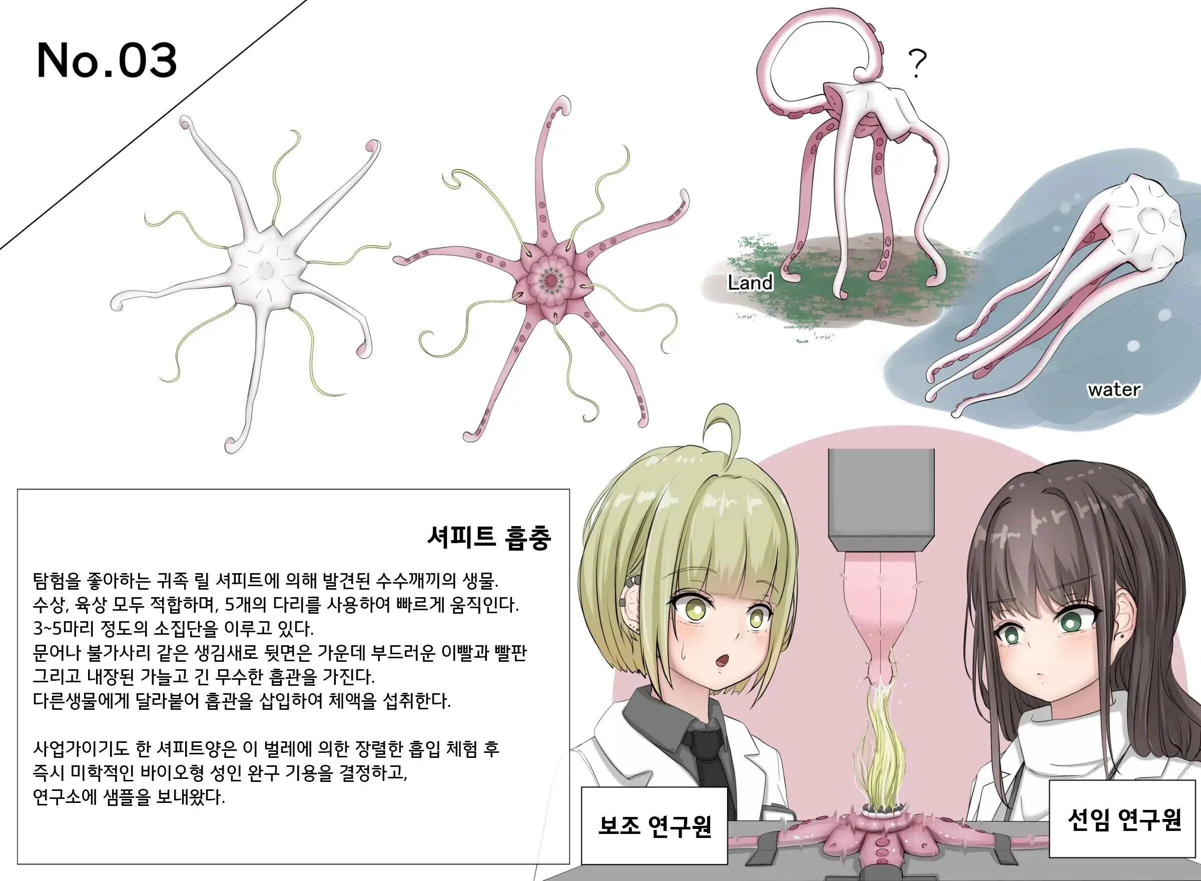 Mushi Research Report No.3